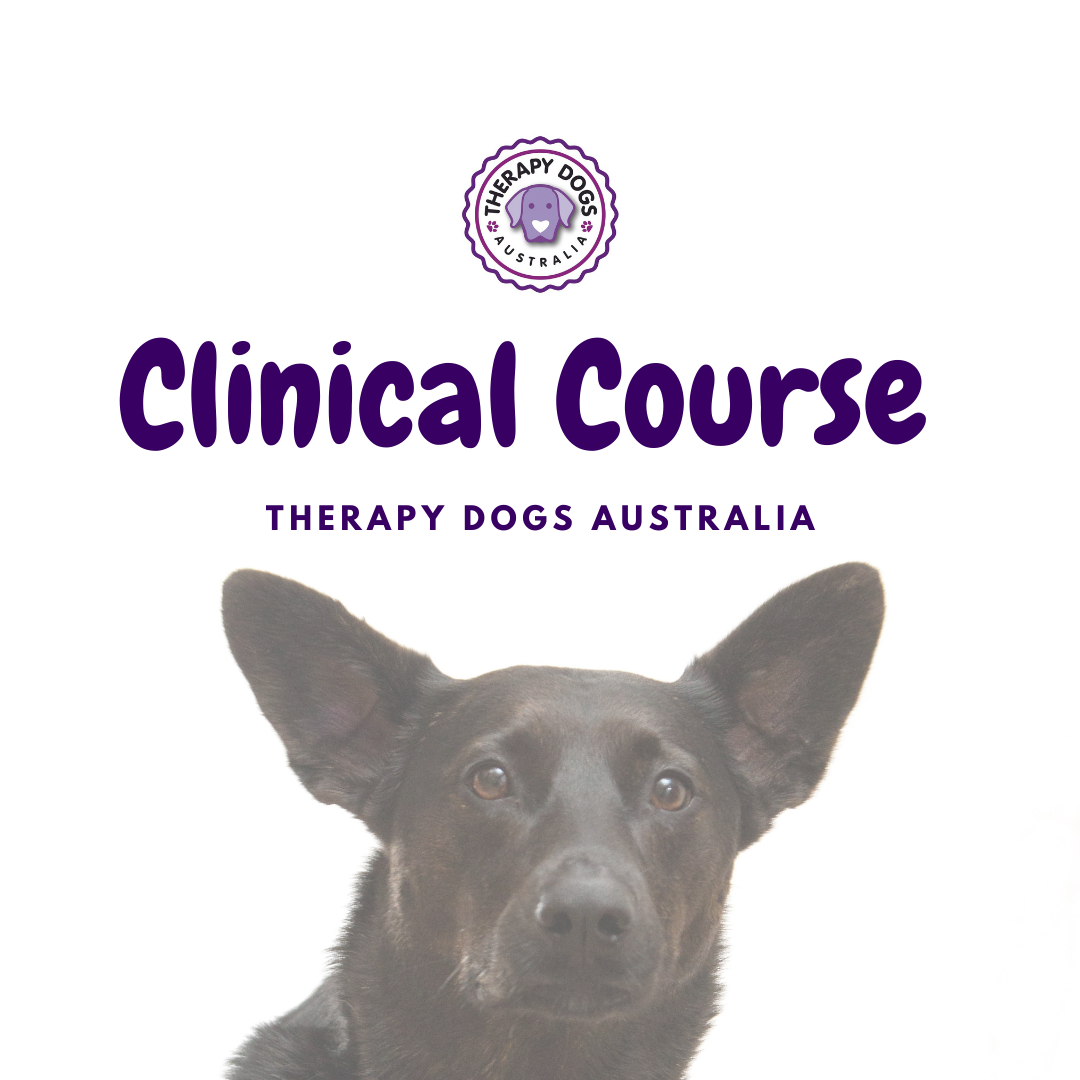 Clinical Course - Therapy Dog & Handler Training