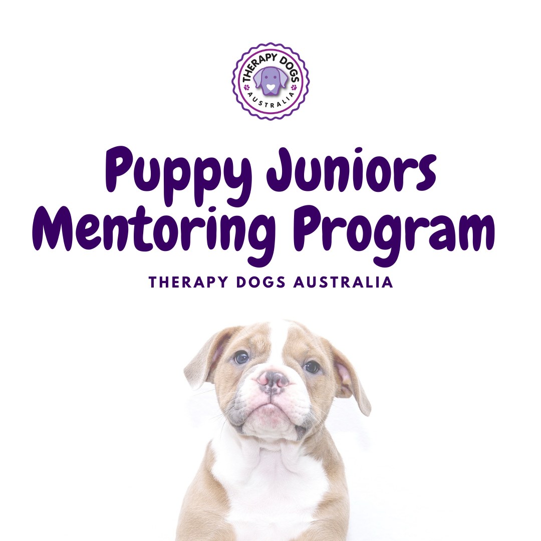 Puppy School for Therapy Dogs (online delivery!)