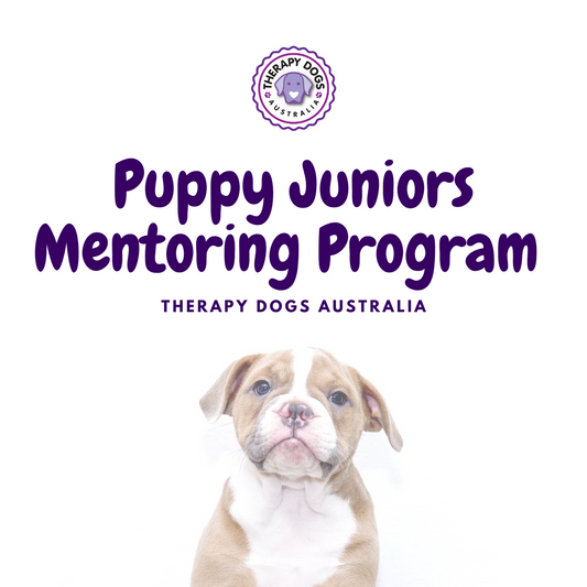 Puppy School for Therapy Dogs (online delivery!)